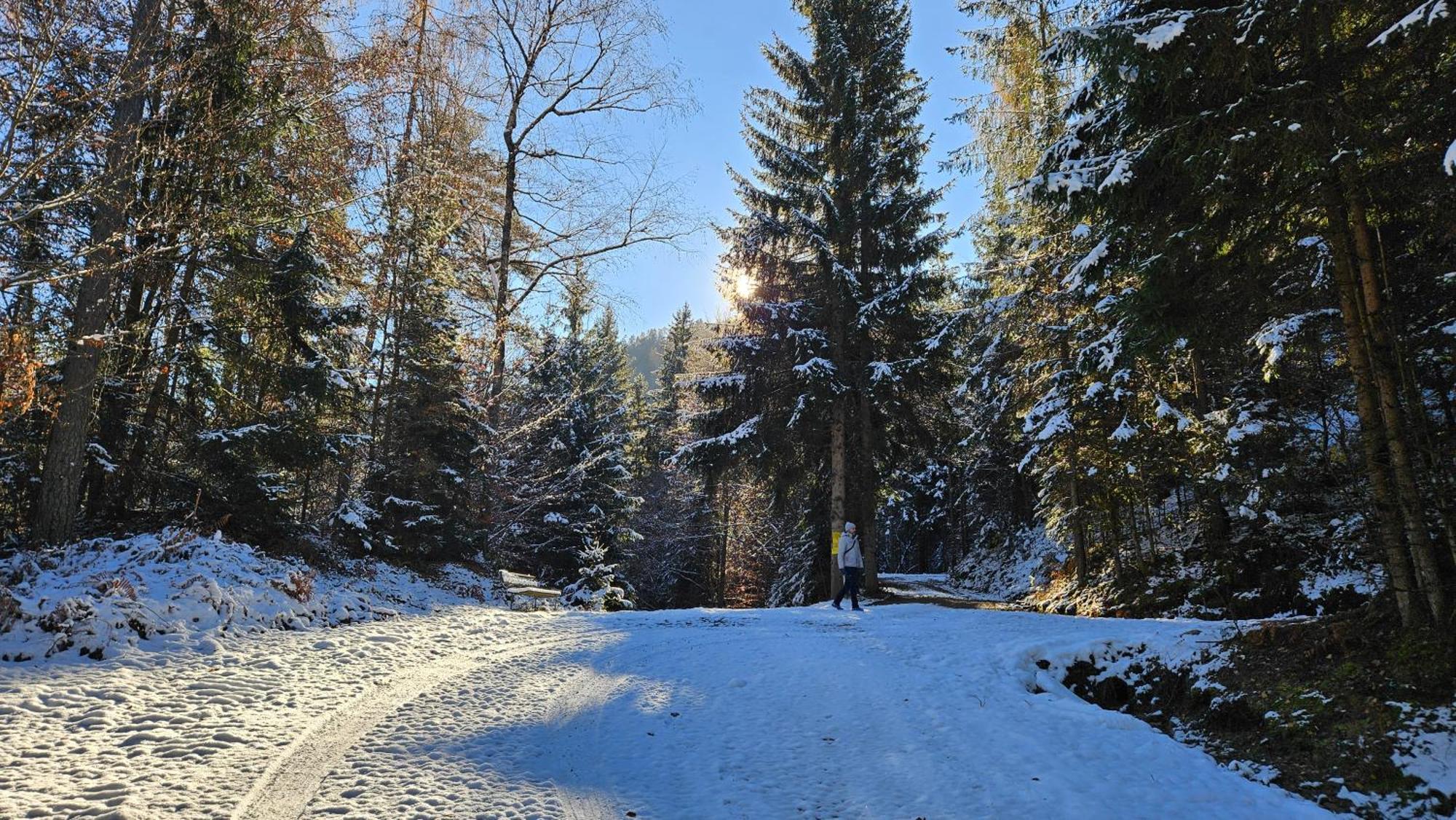 "Casa Antonio" 3 Gehminuten Strandbad Sekirn, Inkl Seezugang Exteriér fotografie